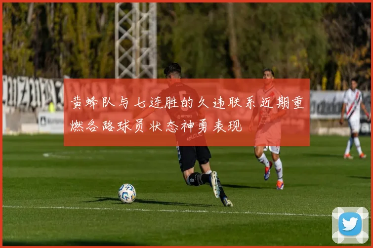 黄蜂队与七连胜的久违联系近期重燃各路球员状态神勇表现